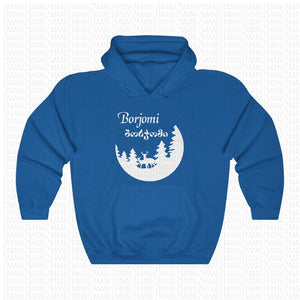 Unisex Heavy Blend™ Hooded Sweatshirt